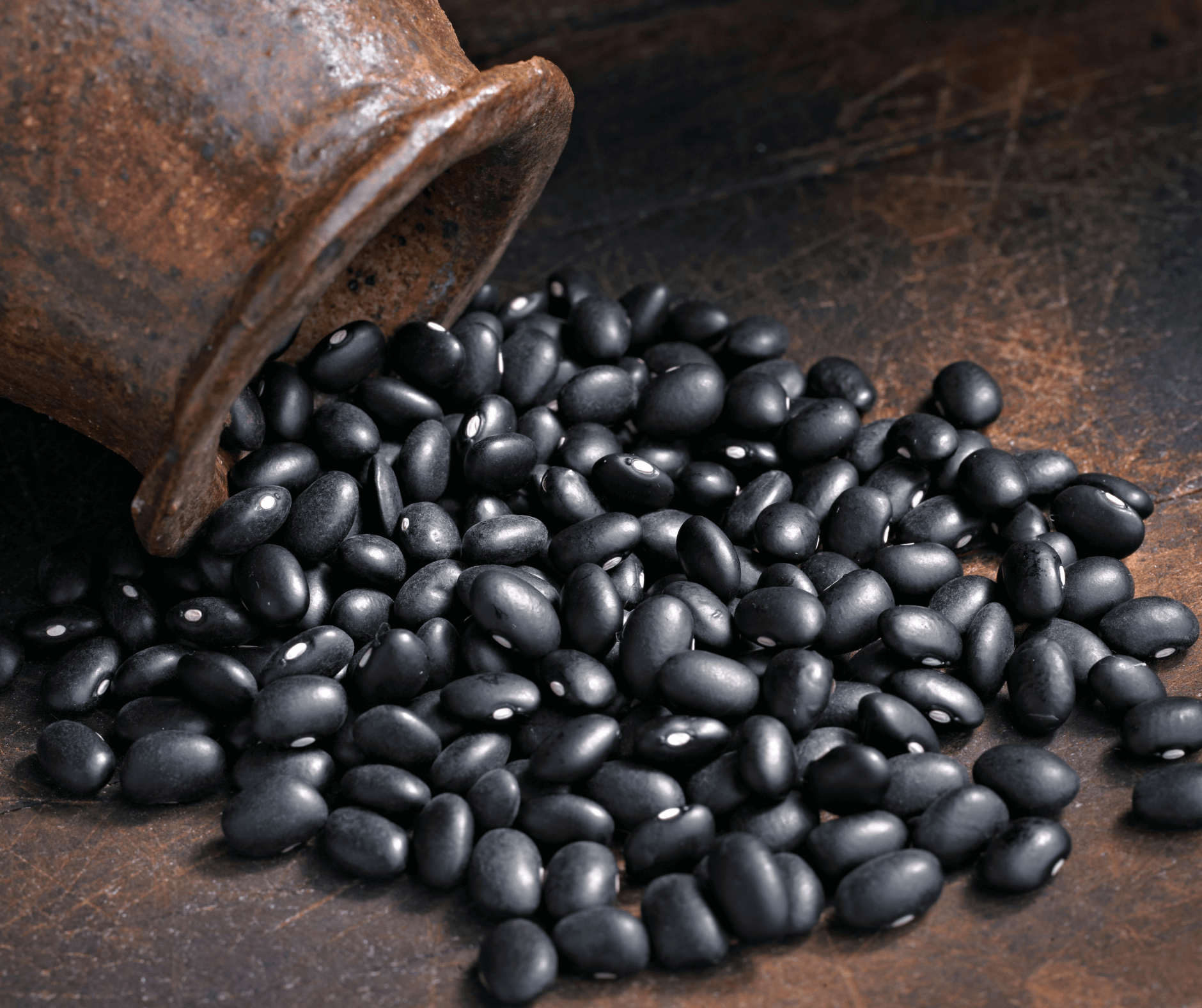 Burger Sayuran Kacang Hitam Terbaik