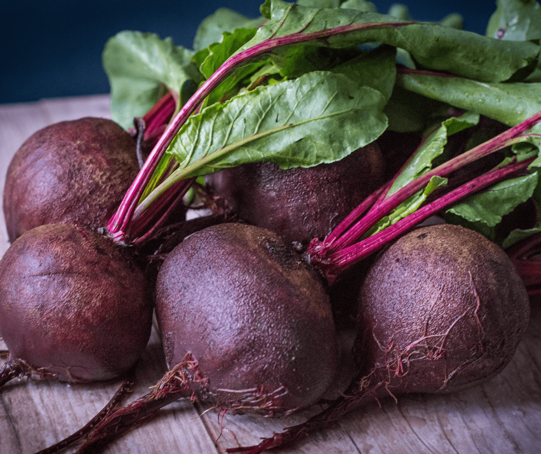 Pancake Millet Bit Pembersih – 3HO Internasional